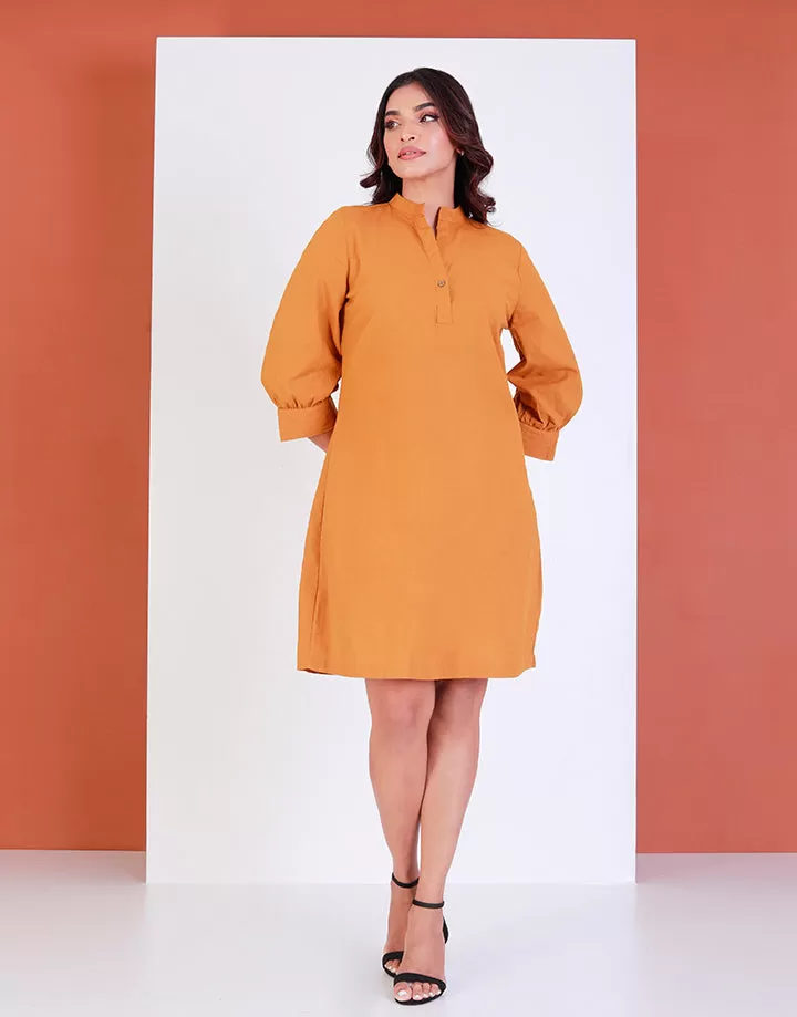 Mandarin Collar A-Line Dress